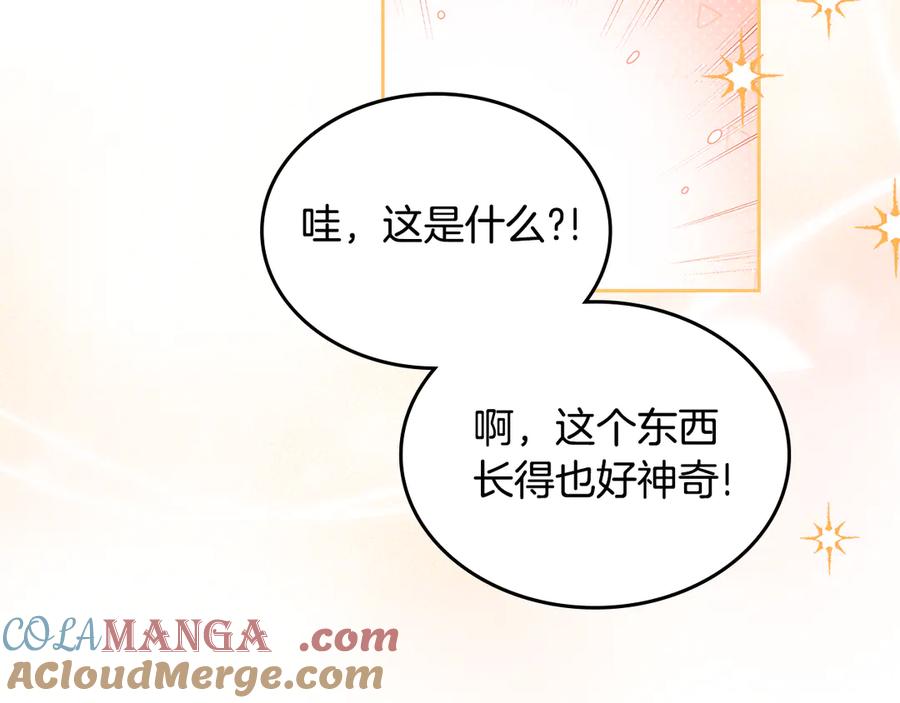 第233页