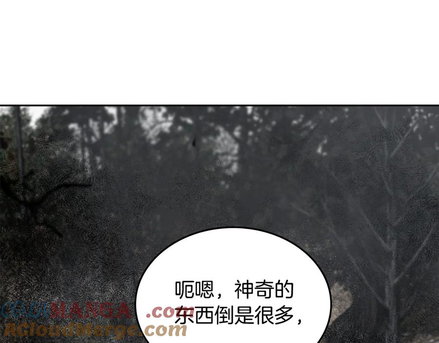 第241页