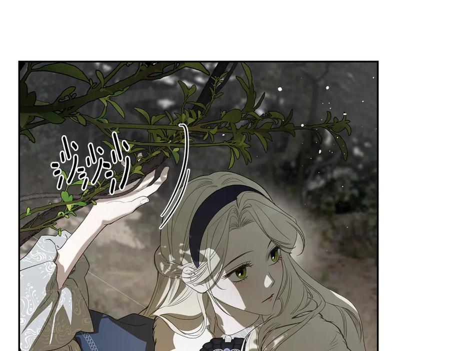 第244页