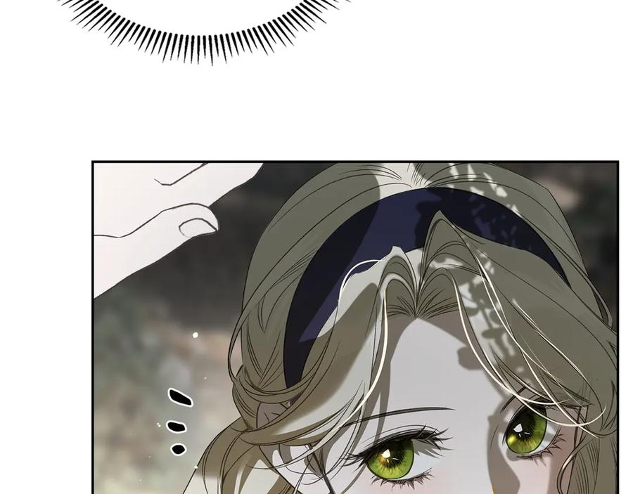 第246页