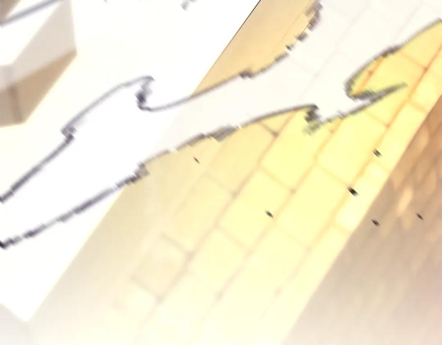 第338页