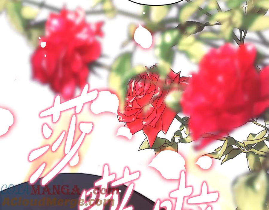第205页