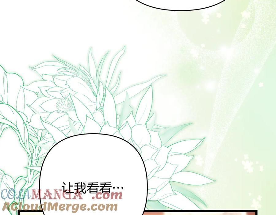 第233页