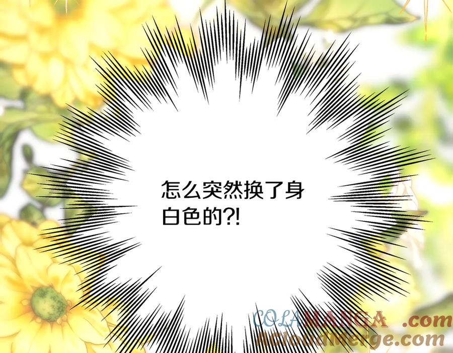 第221页