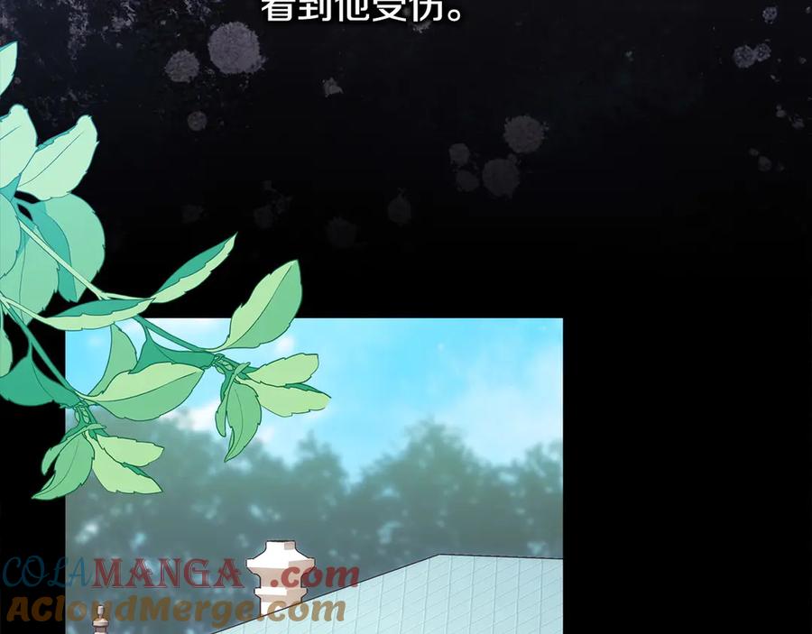 第256页
