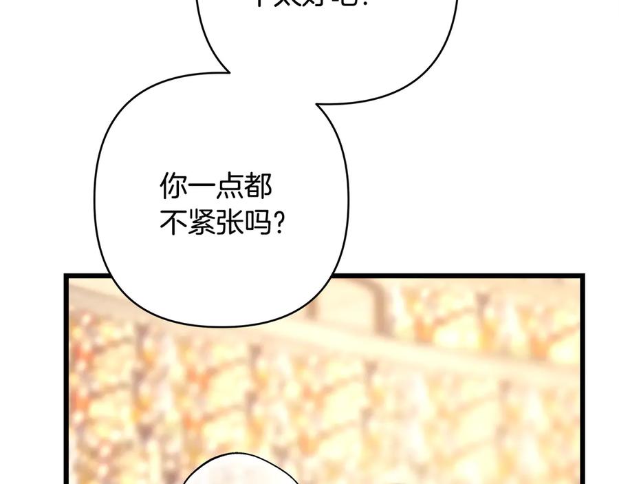 第239页