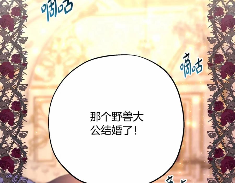 第238页
