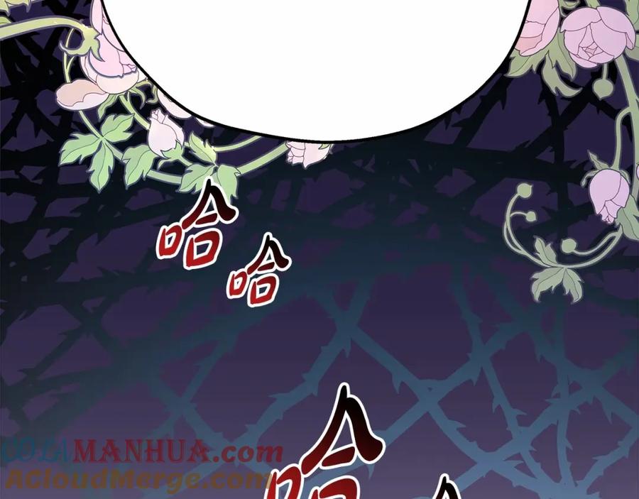 第253页