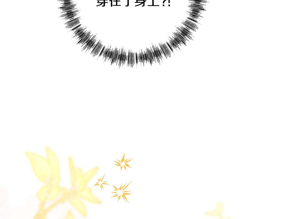 第238页
