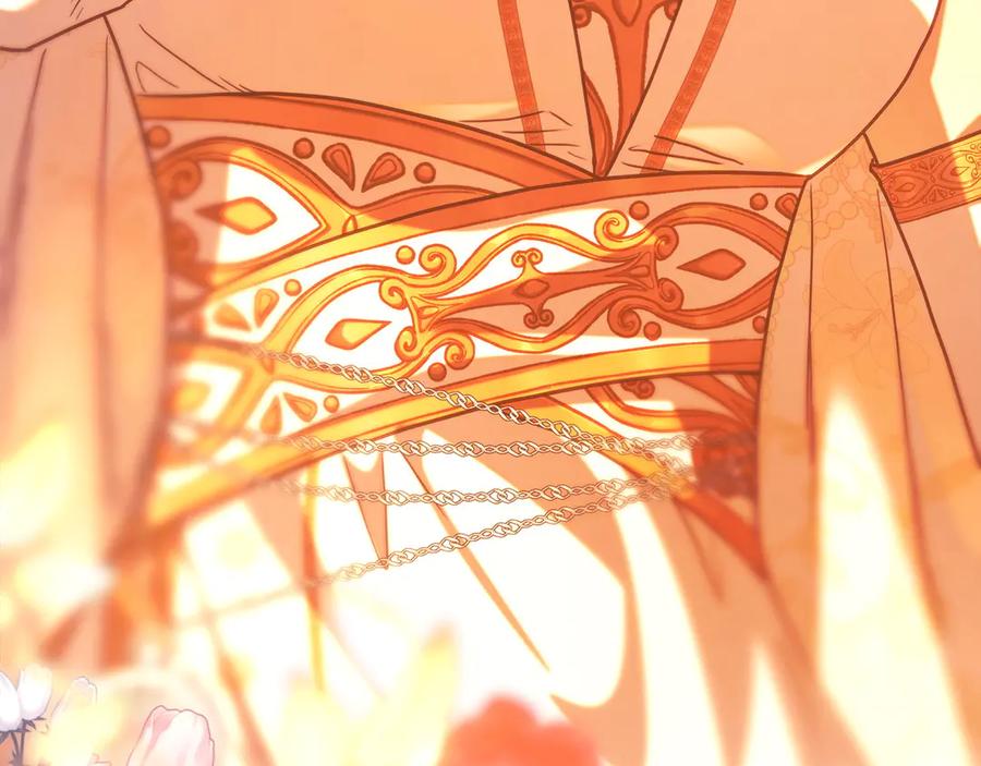 第242页