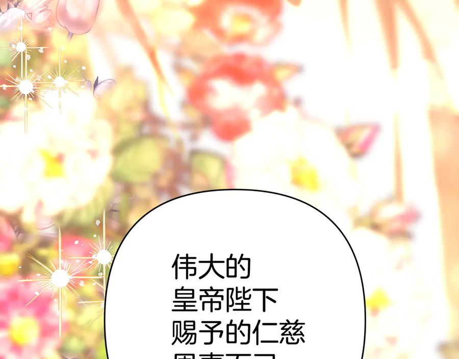 第243页