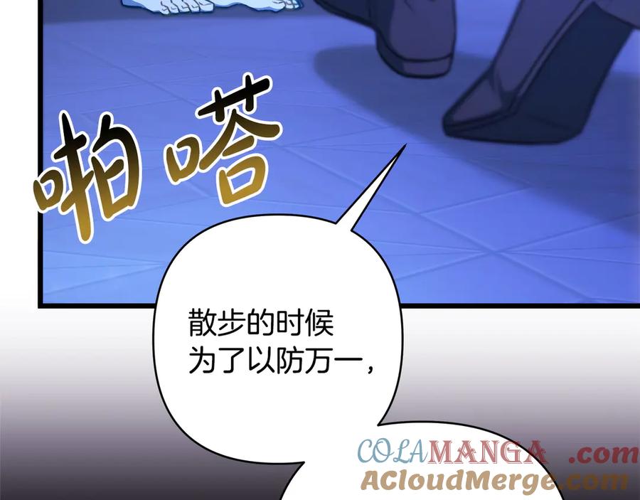 第205页