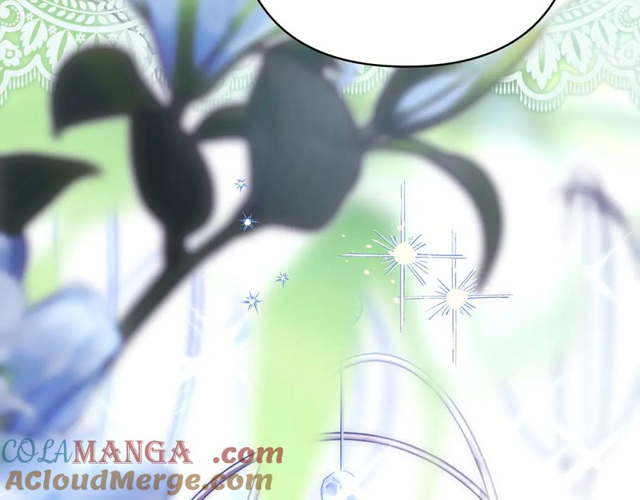 第217页