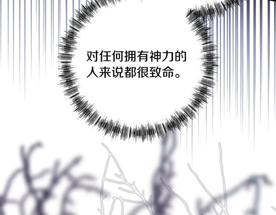 第239页