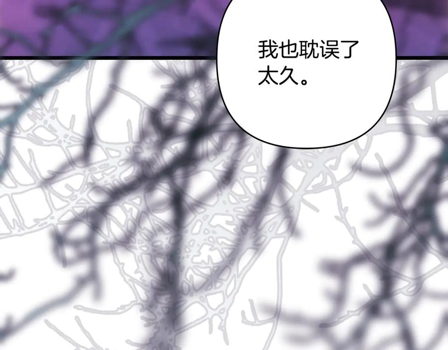 第243页