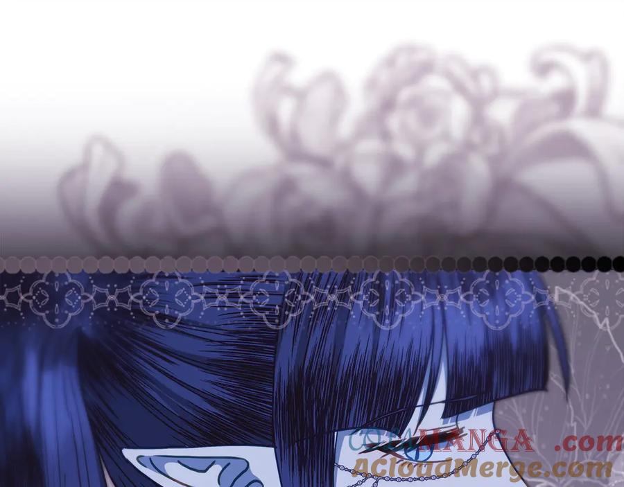 第245页