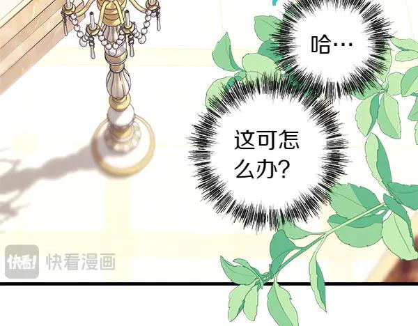 第255页