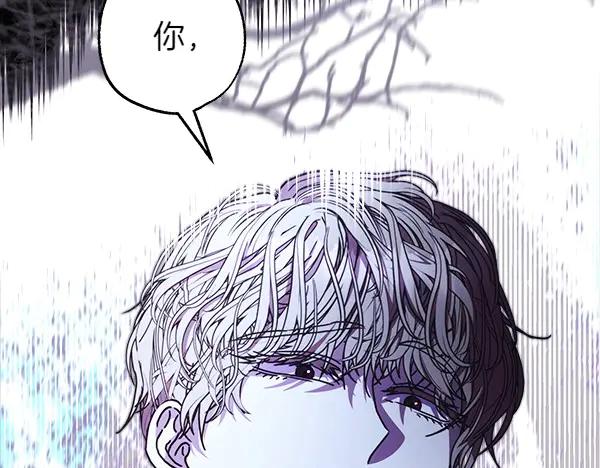 第215页