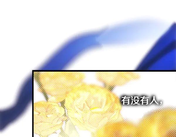 第246页