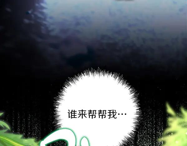 第255页