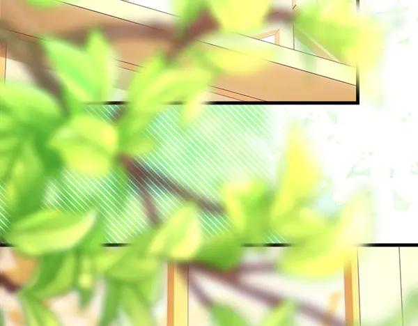 第271页