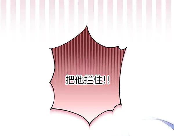 第223页