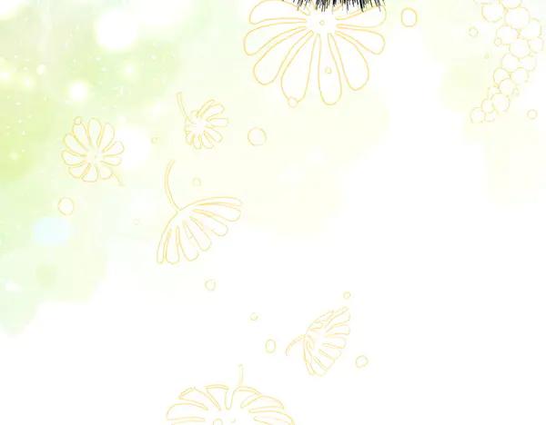 第259页