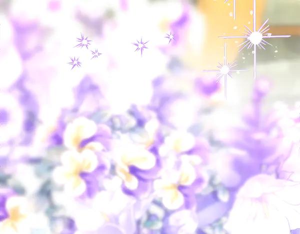 第216页