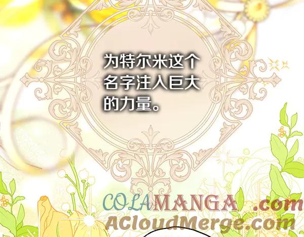 第221页