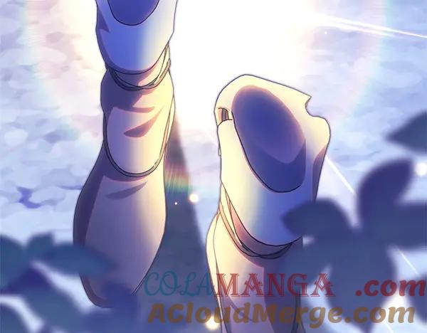 第205页