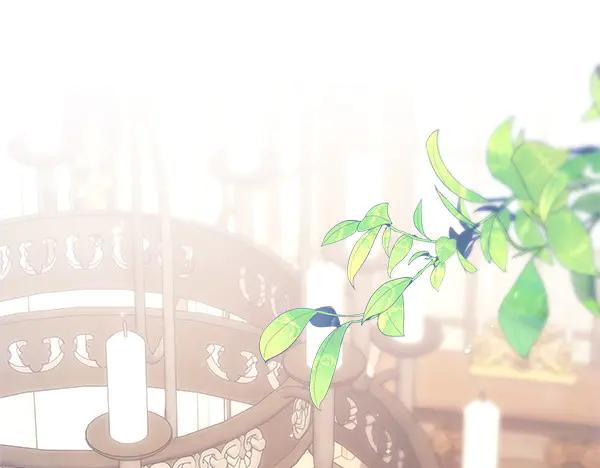 第252页