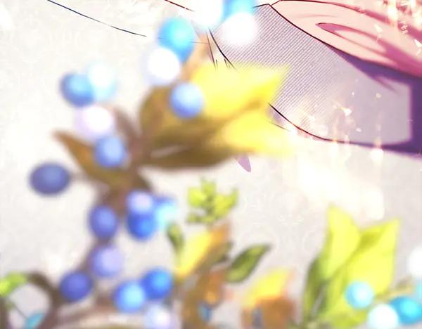 第206页