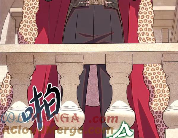 第221页