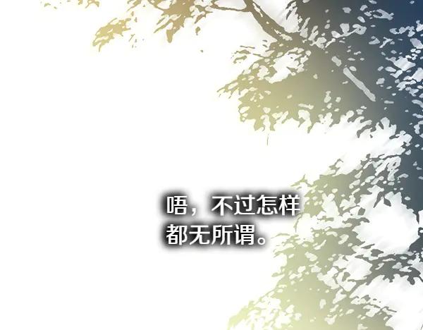 第260页