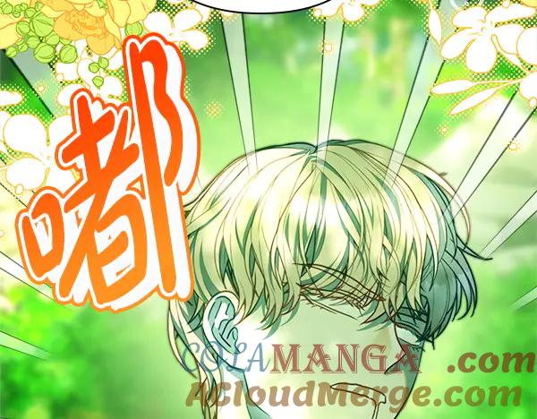 第205页