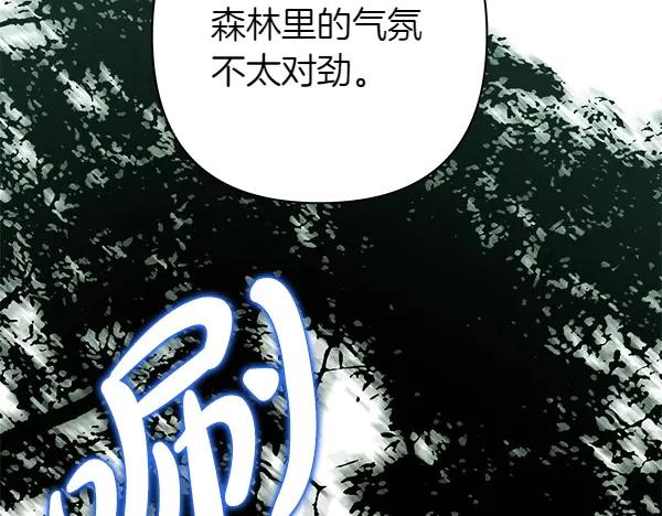 第215页