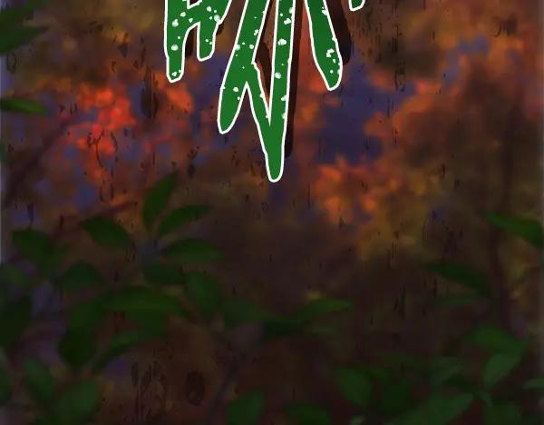 第222页