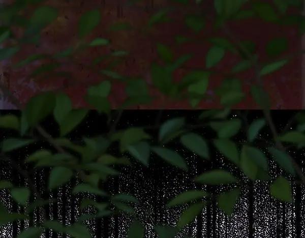 第223页