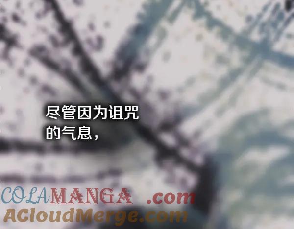第229页