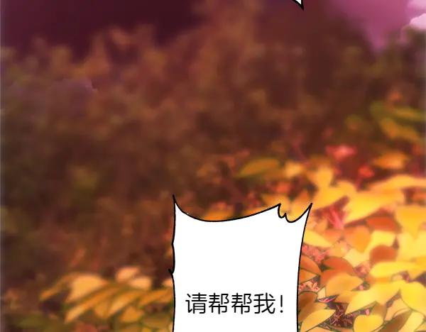 第247页
