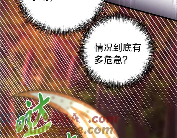 第249页