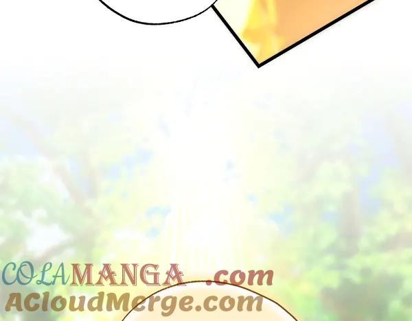 第225页