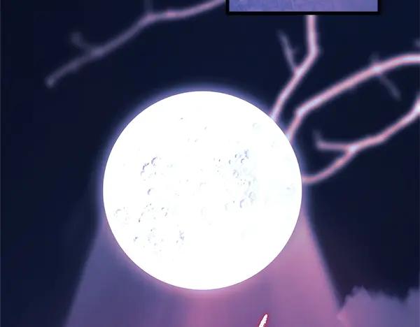 第239页