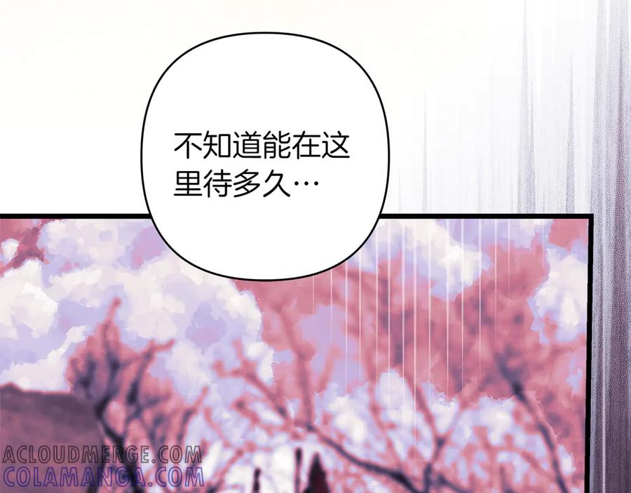 第221页