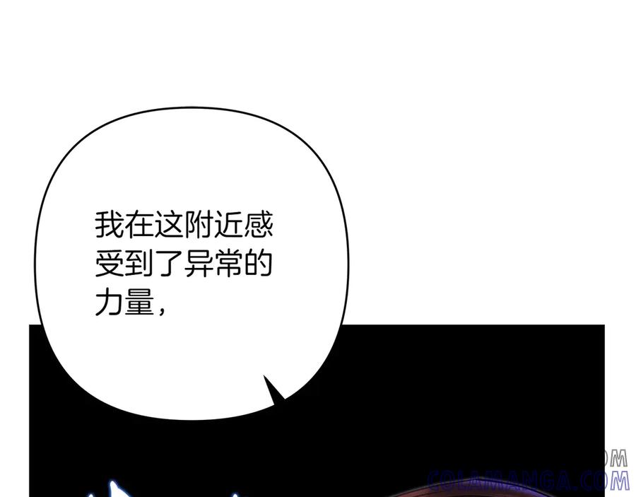 第245页