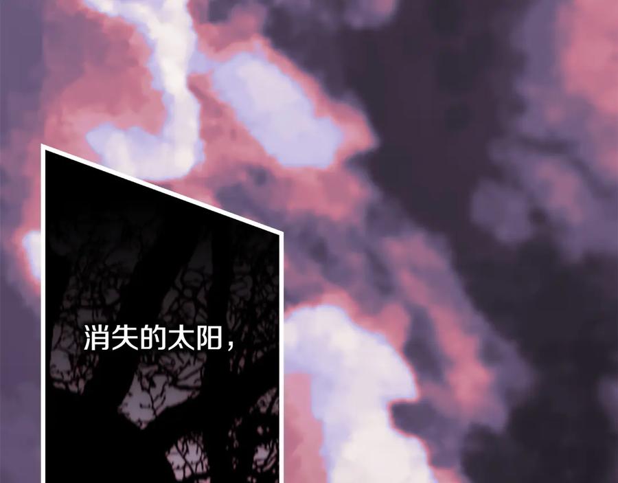 第223页