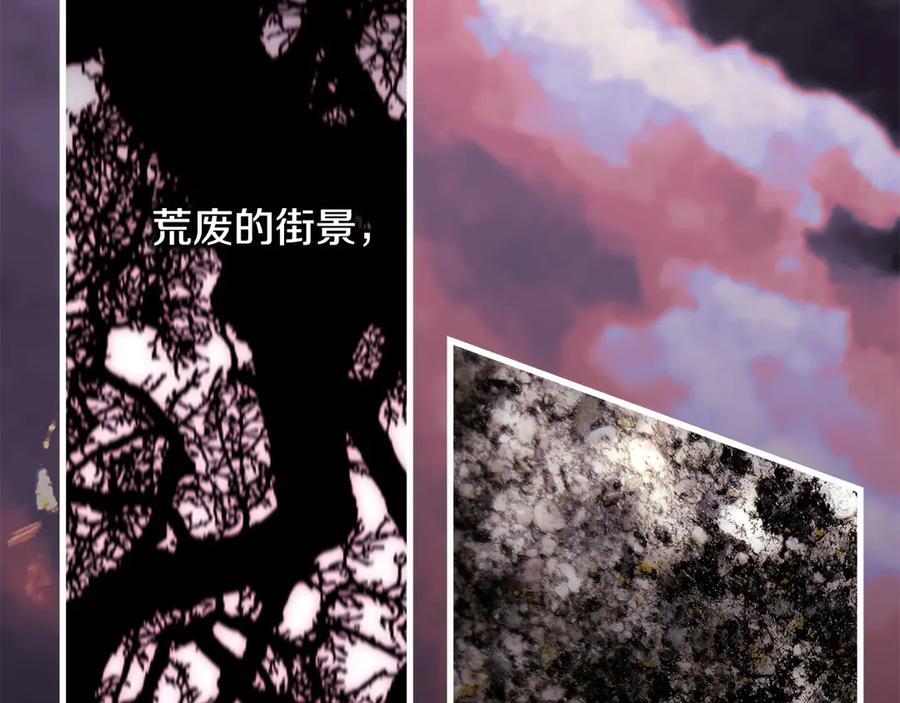 第224页