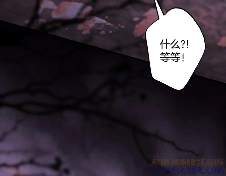 第233页