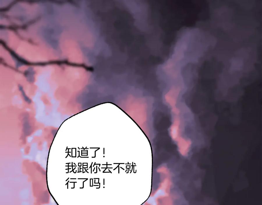 第234页
