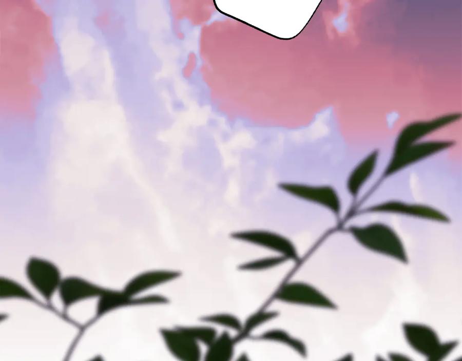 第236页